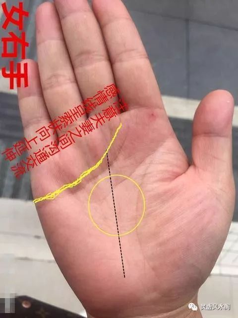 深圳易经大师黄天雄：手相学中感情线与婚姻关系的神秘面纱